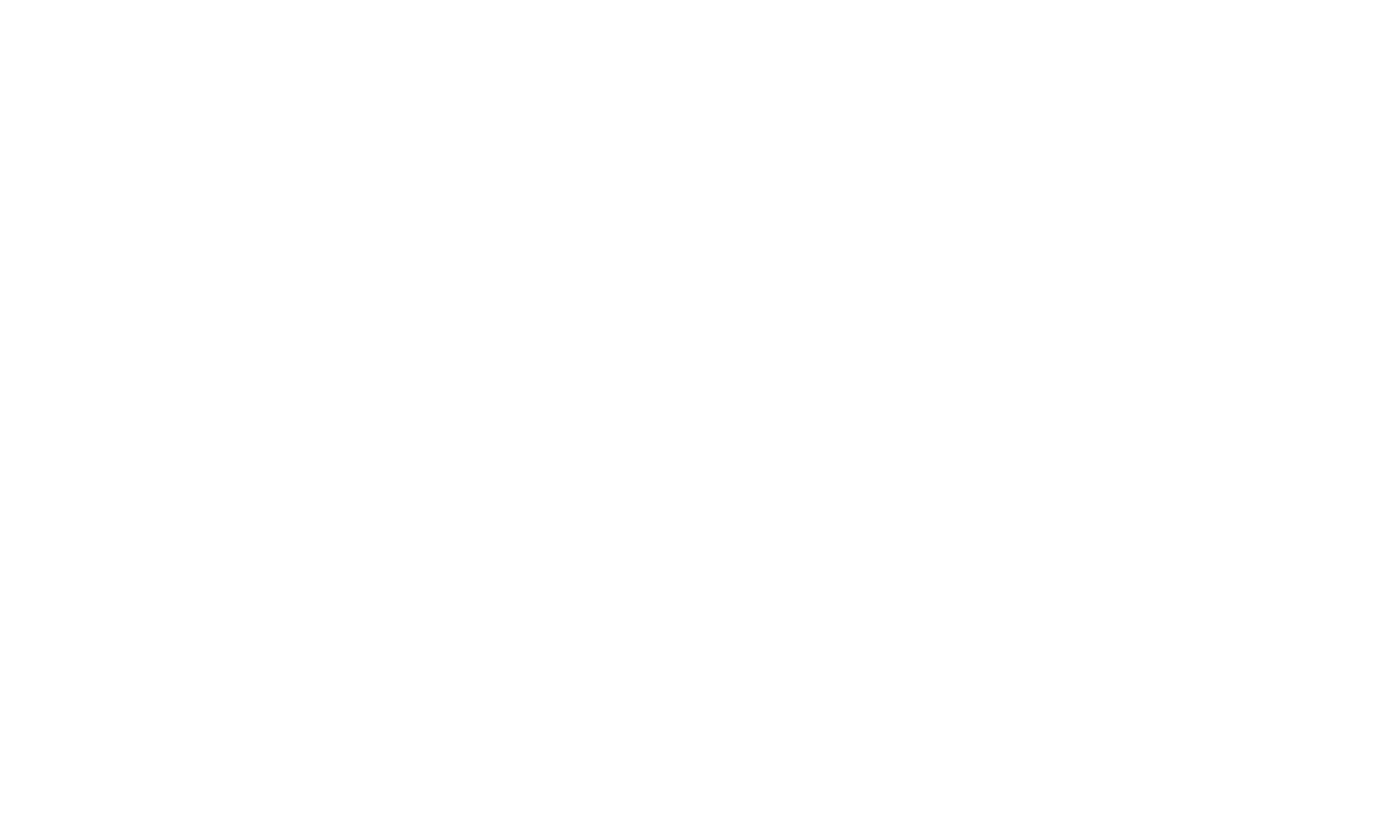 Blink Beauty Co